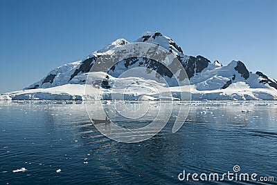 Tourists observing a glacier on the Antarctica, Paradise bay, Antartic Stock Photo