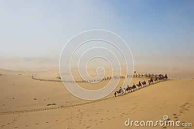 Tourists ride Camel over Sunshine Summer Desert Editorial Stock Photo