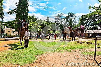 Tourists ride on an elephant and camel on a sunny day. Mysore. Karnataka. India. Editorial Stock Photo