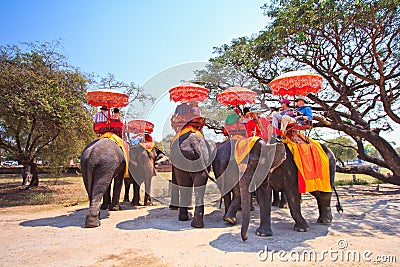 Tourists ride elephants in Ayutthaya province of Thailand Editorial Stock Photo