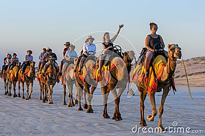 Tourists ride a team of camels along a beach in Australia. Editorial Stock Photo