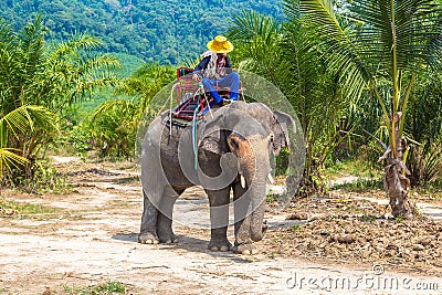 Tourists riding elephant in Thailand Stock Photo
