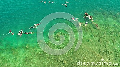 Tourists snorkeling in the lagoon, Philippines, El Nido. Tourists snorkelling over coral reef with clear blue ocean water, top view. People swim in the stock video Tourists snorkeling in the lagoon, Philippines, El Nido. Tourists snorkelling over coral reef with clear blue ocean water, top view. People swim in the stock video