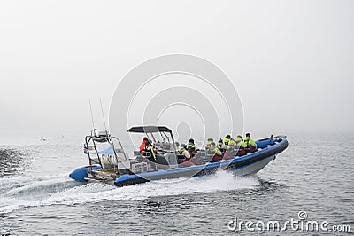 Tourists on speedboat during starting whale watching tour in foggy weather conditions Editorial Stock Photo