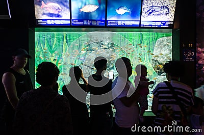 Tourists stop and observe a tank full of fish in an aquarium Editorial Stock Photo