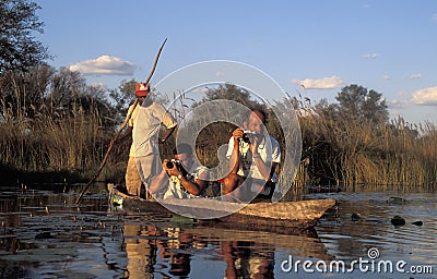 Tourists taking photos from an African canoe, Okavango Delta, Bo Editorial Stock Photo