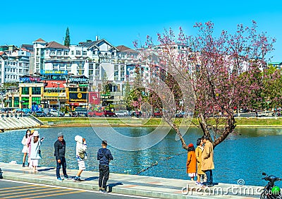 Tourists visit and take pictures by cherry apricot trees along the banks Editorial Stock Photo