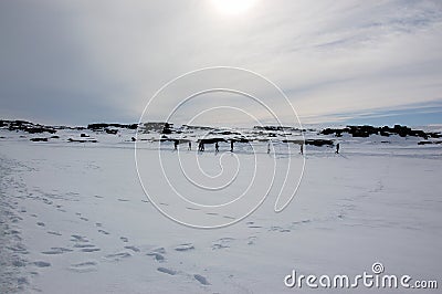 Tourists walking, Dettifoss, Selfoss, waterfall, snow, Iceland Editorial Stock Photo