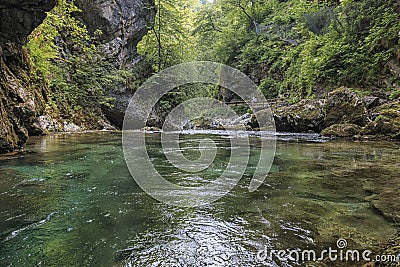 Tourists walking inside the Vintgar Gorge on a wooden path between Bled Lake and Bohinj Lake in Slovenia, Europe. Editorial Stock Photo