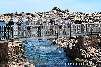 Tourists walking over a wooden bridge in Wyadup Rocks near Yallingup in Western Australia Editorial Stock Photo