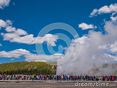 Tourists watching Old Faithful geyser erupting in Yellowstone Editorial Stock Photo