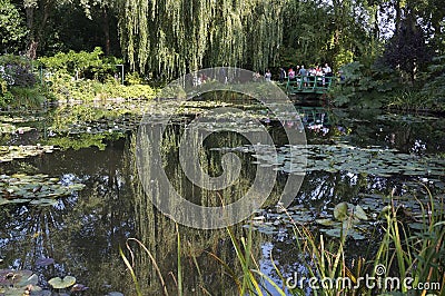 Tourists and Water Lily Gardens Editorial Stock Photo