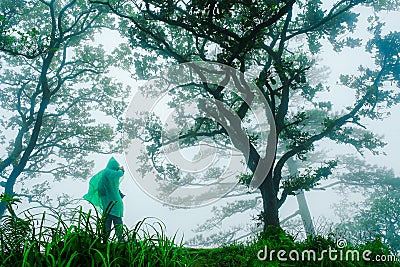 Tourists wear green rain jackets walk in the foggy rainforest Stock Photo