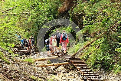Tourists on wooden ladders in Slovak Paradise Editorial Stock Photo