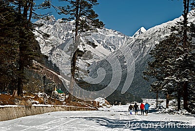 Tourists at Yumthang Valley Editorial Stock Photo