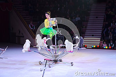 Tours of Moscow Circus on Ice. Trained dogs Editorial Stock Photo