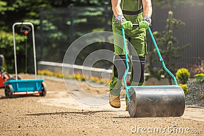 Tow Lawn Roller Pushed by Gardener Stock Photo