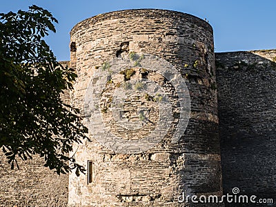 Tower at Angers chateau with foliage growing from the stones, Fr Stock Photo