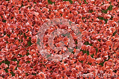 The Tower of London Moat filled with Ceramic Poppies , an art installation named Blood Swept Lands and Seas of Red. Editorial Stock Photo