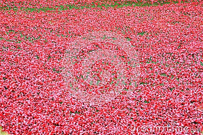 Tower of London with sea of Red Poppies to remember the fallen soldiers of WWI Editorial Stock Photo