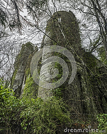 Tower of old celtic ruins in a green bush Stock Photo