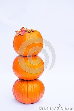 Tower of Three stacked mini pumpkins with fall maple leaf on the top on the white background isolated. Autumn holiday, harvest, He Stock Photo