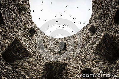 Tower wall and flock of birds Stock Photo