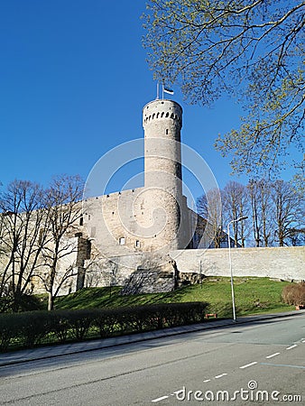 The tower and walls of Toompea Castle from the side of the road, seen through the branches of a tree with growing young leaves Stock Photo