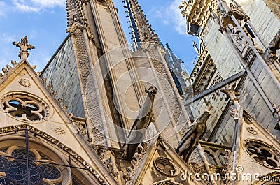 Towers and gargoyles of Notre Dame Stock Photo