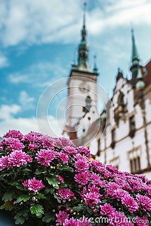 Town hall, Olomouc, Moravia Stock Photo