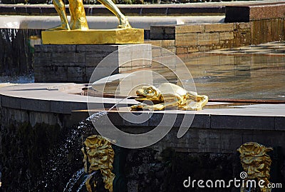 Attractions of the Peterhof Museum-reserve. Sculptures of the main fountain `Grand cascade`. Stock Photo