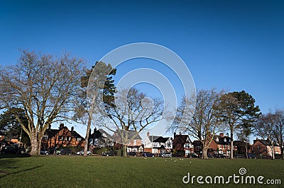 Town trees in winter Stock Photo