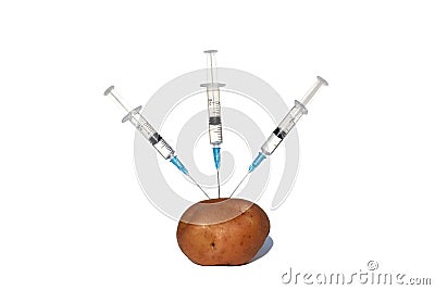 Potato pricked with a syringe on a white isolated background. Stock Photo