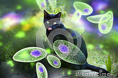 Toxoplasma gondii awareness conceptual image Cartoon Illustration