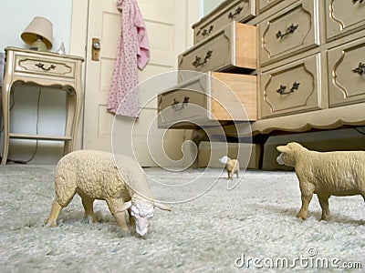 Toy sheep on carpet graze on a carpet as toy animals take over a house Stock Photo