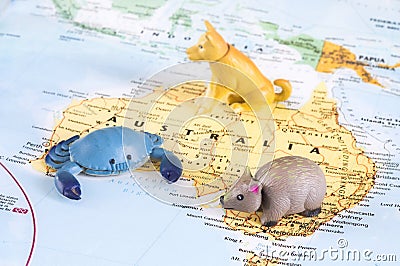 Toy Australian animals on map Stock Photo