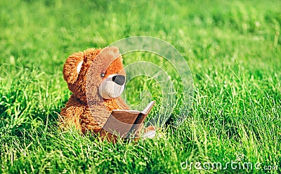 Toy bear sits with a book in the grass Stock Photo