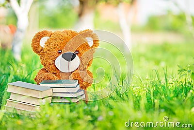 Toy bear sits with a books in garden Stock Photo