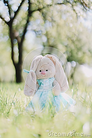 Toy bunny in a blue dress in the green grass. Stock Photo
