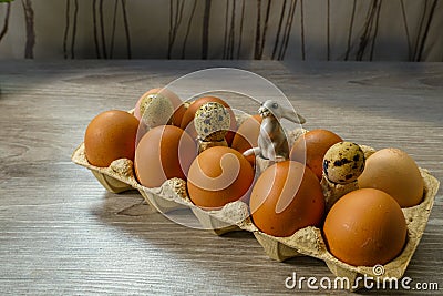 Toy Bunny has prepared delicious gifts Stock Photo