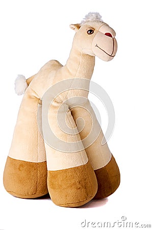 Toy camel Stock Photo