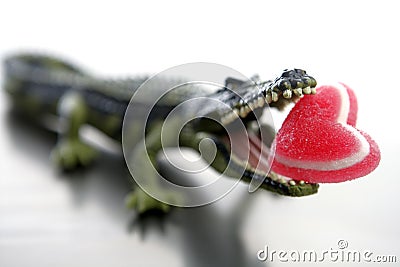 Toy cocodrile, candy Valentine heart in jaws Stock Photo