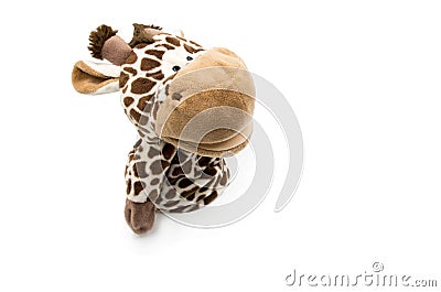 Toy giraffe white background Stock Photo