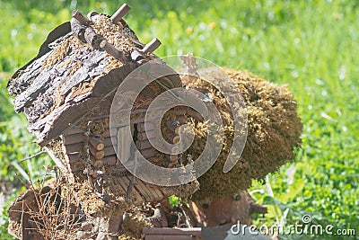 A toy homemade house of a fairy-tale creature made of logs and branches in the park Stock Photo