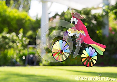 Toy parrot on a bicycle. Stock Photo