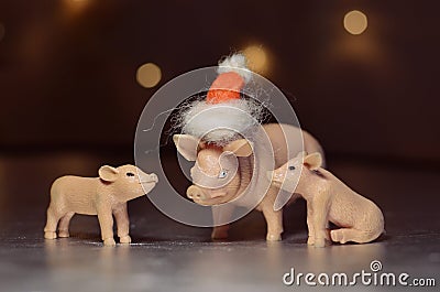 Toy pig in Santa`s cap Stock Photo