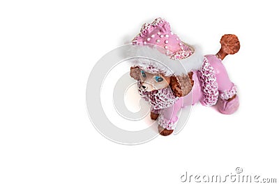 Toy pink poodle on a white background Stock Photo