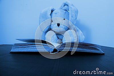 A rabbit plush toy sitting behind an open book Stock Photo