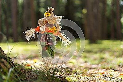 Toy Scare Crow in grass in a forest Stock Photo