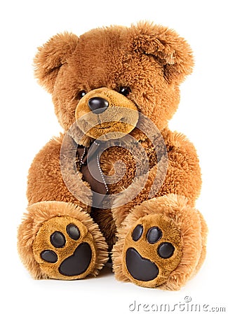 Toy teddy bear Stock Photo